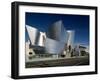 Walt Disney Concert Hall, Los Angeles, California, USA-Walter Bibikow-Framed Photographic Print