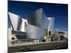 Walt Disney Concert Hall, Los Angeles, California, USA-Walter Bibikow-Mounted Photographic Print