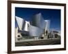Walt Disney Concert Hall, Los Angeles, California, USA-Walter Bibikow-Framed Photographic Print