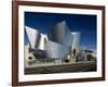 Walt Disney Concert Hall, Los Angeles, California, USA-Walter Bibikow-Framed Photographic Print