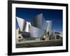 Walt Disney Concert Hall, Los Angeles, California, USA-Walter Bibikow-Framed Photographic Print