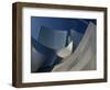 Walt Disney Concert Hall, Los Angeles, California, USA-Walter Bibikow-Framed Photographic Print