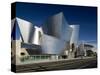 Walt Disney Concert Hall, Los Angeles, California, USA-Walter Bibikow-Stretched Canvas