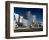 Walt Disney Concert Hall, Los Angeles, California, USA-Walter Bibikow-Framed Photographic Print