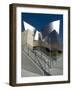 Walt Disney Concert Hall, Part of Los Angeles Music Center, Frank Gehry Architect, Los Angeles-Ethel Davies-Framed Photographic Print