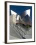 Walt Disney Concert Hall, Part of Los Angeles Music Center, Frank Gehry Architect, Los Angeles-Ethel Davies-Framed Photographic Print