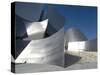 Walt Disney Concert Hall, Part of Los Angeles Music Center, Frank Gehry Architect, Los Angeles-Ethel Davies-Stretched Canvas