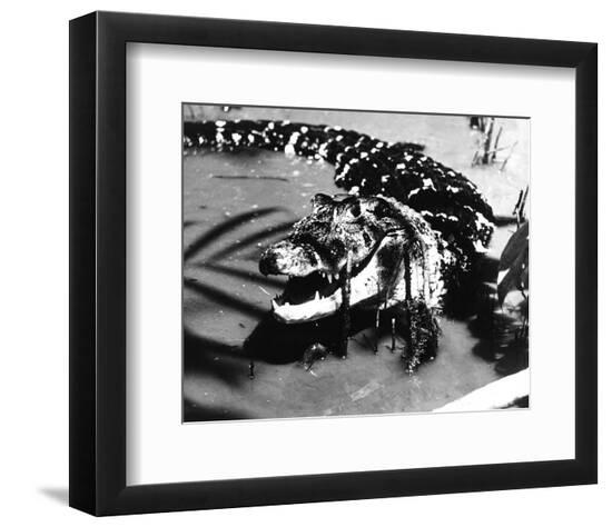 Photo, , large