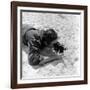 Walt Disney Using Camera in Rio De Janeiro, Brazil, 1941-Hart Preston-Framed Photographic Print