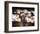 Walt Disney-null-Framed Photo