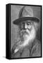 Walt Whitman (1819-189), American Poet, C1880S-null-Framed Stretched Canvas