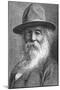 Walt Whitman (1819-189), American Poet, C1880S-null-Mounted Giclee Print