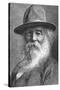 Walt Whitman (1819-189), American Poet, C1880S-null-Stretched Canvas