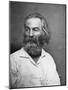 Walt Whitman (1819-189), American Poet, C1880S-MATHEW B BRADY-Mounted Giclee Print