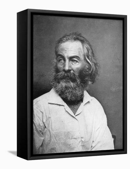 Walt Whitman (1819-189), American Poet, C1880S-MATHEW B BRADY-Framed Stretched Canvas