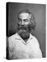 Walt Whitman (1819-189), American Poet, C1880S-MATHEW B BRADY-Stretched Canvas