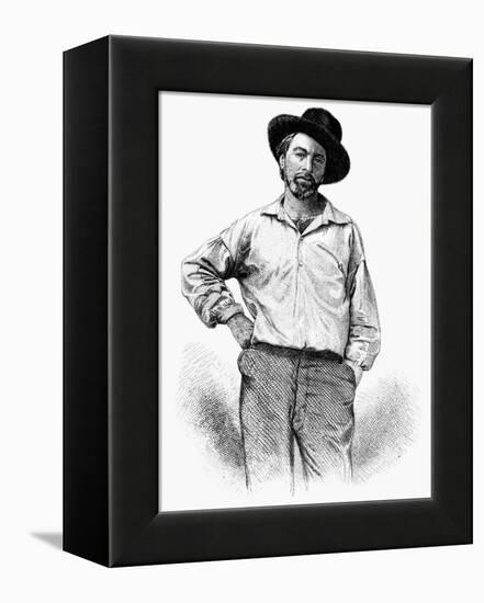 Walt Whitman (1819-1892)-Samuel Hollyer-Framed Stretched Canvas