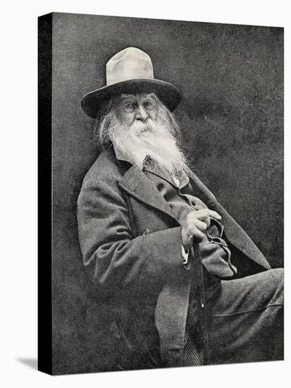 Walt Whitman (1819-91)-null-Stretched Canvas