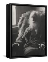 Walt Whitman, 1891-Thomas Cowperthwait Eakins-Framed Stretched Canvas