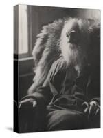 Walt Whitman, 1891-Thomas Cowperthwait Eakins-Stretched Canvas