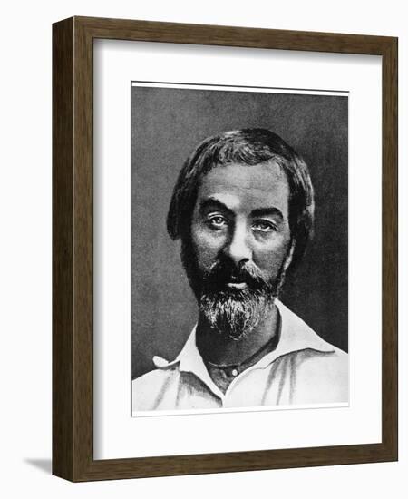 Walt Whitman, American Poet, 19th Century-null-Framed Giclee Print