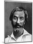 Walt Whitman, American Poet, 19th Century-null-Mounted Giclee Print