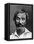 Walt Whitman, American Poet, 19th Century-null-Framed Stretched Canvas