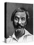 Walt Whitman, American Poet, 19th Century-null-Stretched Canvas