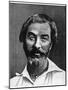 Walt Whitman, American Poet, 19th Century-null-Mounted Giclee Print