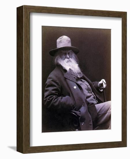 Walt Whitman American Poet, Author, and Journalist in 1877 Portrait-null-Framed Art Print