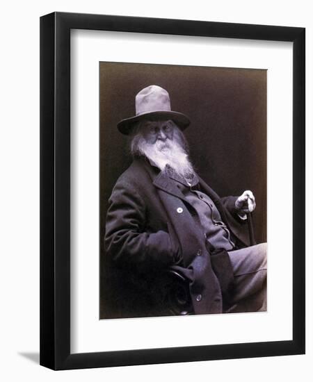 Walt Whitman American Poet, Author, and Journalist in 1877 Portrait-null-Framed Art Print