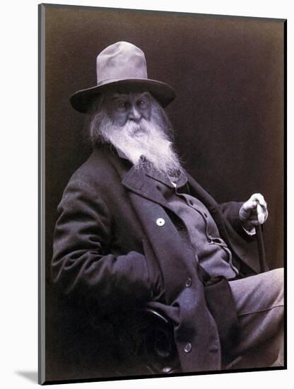 Walt Whitman American Poet, Author, and Journalist in 1877 Portrait-null-Mounted Art Print