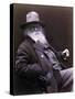 Walt Whitman American Poet, Author, and Journalist in 1877 Portrait-null-Stretched Canvas