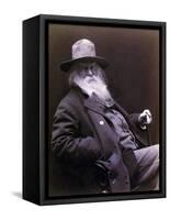 Walt Whitman American Poet, Author, and Journalist in 1877 Portrait-null-Framed Stretched Canvas