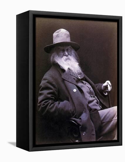 Walt Whitman American Poet, Author, and Journalist in 1877 Portrait-null-Framed Stretched Canvas