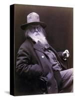 Walt Whitman American Poet, Author, and Journalist in 1877 Portrait-null-Stretched Canvas