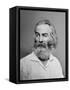 Walt Whitman American Poet, Author, and Journalist in Portrait from Mathew Brady Studio, 1863-null-Framed Stretched Canvas