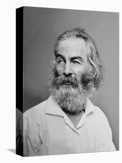 Walt Whitman American Poet, Author, and Journalist in Portrait from Mathew Brady Studio, 1863-null-Stretched Canvas