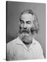 Walt Whitman American Poet, Author, and Journalist in Portrait from Mathew Brady Studio, 1863-null-Stretched Canvas