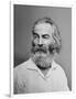 Walt Whitman American Poet, Author, and Journalist in Portrait from Mathew Brady Studio, 1863-null-Framed Art Print