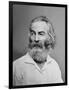 Walt Whitman American Poet, Author, and Journalist in Portrait from Mathew Brady Studio, 1863-null-Framed Art Print