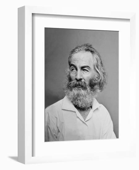 Walt Whitman American Poet, Author, and Journalist in Portrait from Mathew Brady Studio, 1863-null-Framed Art Print