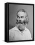 Walt Whitman American Poet, Author, and Journalist in Portrait from Mathew Brady Studio, 1863-null-Framed Stretched Canvas