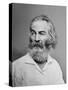 Walt Whitman American Poet, Author, and Journalist in Portrait from Mathew Brady Studio, 1863-null-Stretched Canvas