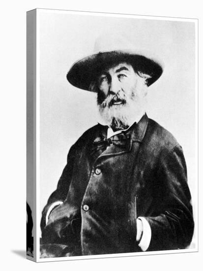 Walt Whitman, American Poet, C1866-MATHEW B BRADY-Stretched Canvas