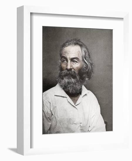 Walt Whitman, American Poet, C1880S-MATHEW B BRADY-Framed Giclee Print