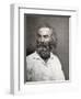 Walt Whitman, American Poet, C1880S-MATHEW B BRADY-Framed Giclee Print