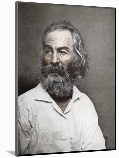 Walt Whitman, American Poet, C1880S-MATHEW B BRADY-Mounted Giclee Print