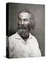 Walt Whitman, American Poet, C1880S-MATHEW B BRADY-Stretched Canvas