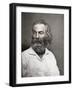 Walt Whitman, American Poet, C1880S-MATHEW B BRADY-Framed Giclee Print